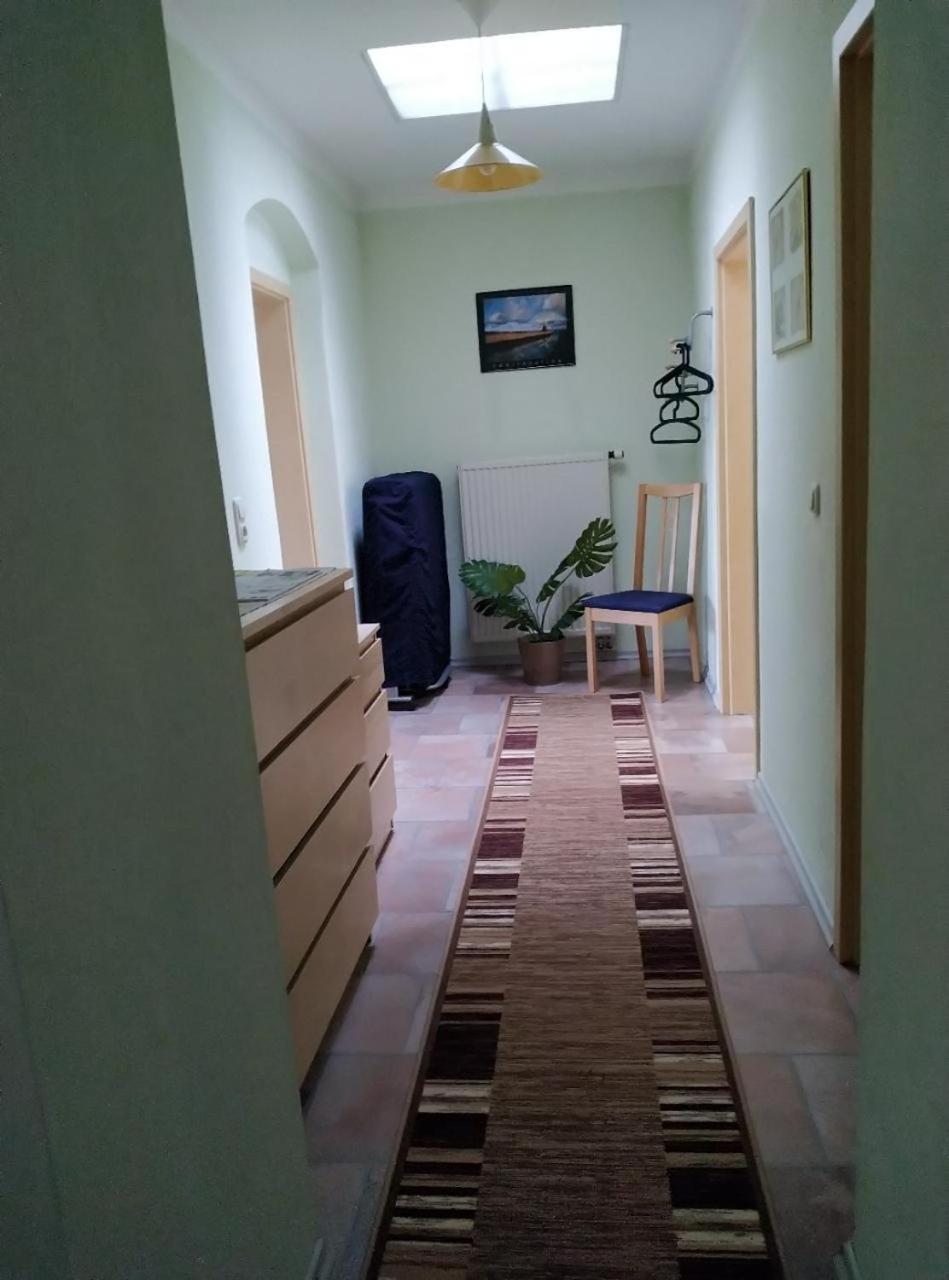 Ambiente-An-Der-Elbe-Wohnung-Og Dresden Eksteriør billede