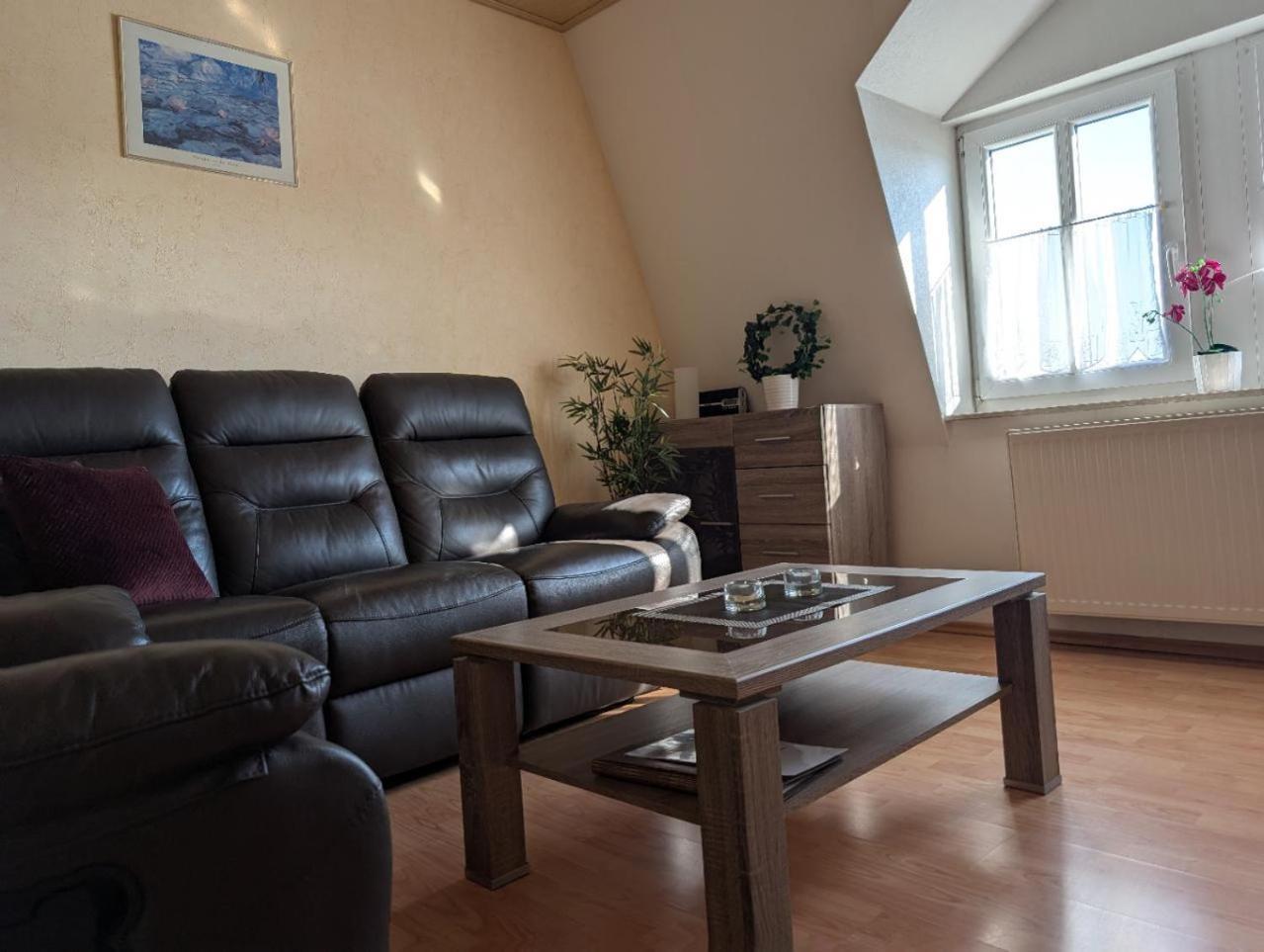 Ambiente-An-Der-Elbe-Wohnung-Og Dresden Eksteriør billede